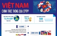 [Infographic] Việt Nam trở thành quốc gia thứ 7 thông qua CPTPP