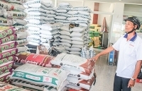 Vật tư nông nghiệp bất ngờ tăng giá