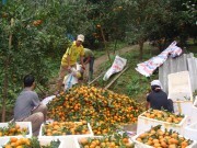 “Chìa khóa” đưa sản phẩm vươn xa