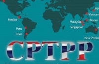 CPTPP và “món quà năm mới” 2019