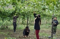 Nghệ An: Tín dụng chính sách giúp sức bà con dân tộc