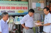 Hỗ trợ muối i-ốt cho vùng dân tộc và miền núi