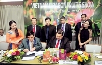 Thương mại Việt Nam - Ấn Độ: Dư địa hợp tác lớn