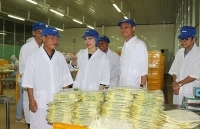 Thương hiệu SAFOCO - sự phát triển bền vững