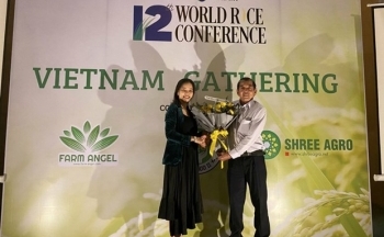 Gạo ST25 là á quân cuộc thi Gạo ngon nhất thế giới 2020