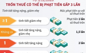 Từ 5/12/2020, trốn thuế có thể bị phạt tiền gấp 3 lần