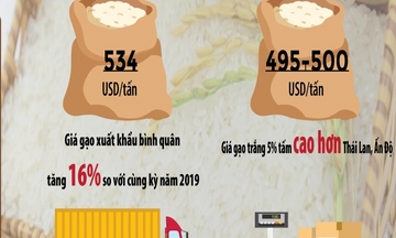 [Infographics] Giá gạo xuất khẩu tăng mạnh