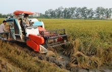 Nông nghiệp đất chín rồng: Khởi sắc với tái cơ cấu và ứng dụng 4.0