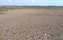 Đồng bằng sông Cửu Long: Sáng tạo ứng phó hạn mặn