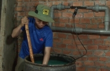 Tiết kiệm chi phí nhờ mô hình tưới nước nhỏ giọt