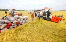 Phân lân Văn Điển: Tốt cho đất và cây trồng