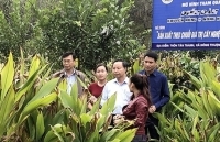 Thúc đẩy liên kết sản xuất gắn với tiêu thụ nông sản