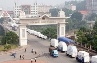 Lào Cai: Tạm dừng xuất nhập cảnh khách du lịch qua cửa khẩu Hà Khẩu - Trung Quốc