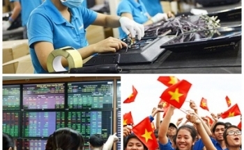 11 Luật, Bộ luật có hiệu lực từ 1/1/2021