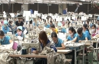 EVFTA - “trái ngọt không dễ hái” của ngành may