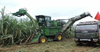 Áp thuế chống bán phá giá đường Thái, đường Việt tăng sức bật