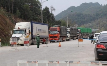 Lạng Sơn: Trên 100 xe nông sản thông quan trong vòng 1 ngày qua