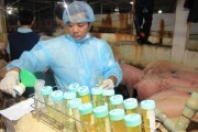 Bộ Y tế thắt chặt quản lý Salbutamol