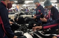 Hàng Việt Nam có xuất xứ “lèm nhèm” không được chấp nhận trong EVFTA