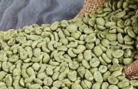 Những nhóm hàng có tiềm năng tăng xuất khẩu sang Algeria