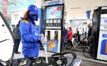 Chính phủ thông qua dự án Nghị quyết trình UBTVQH về thuế bảo vệ môi trường đối với xăng, dầu