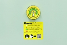 Panduit Releases VeriSafe™ - Absence of Voltage Tester