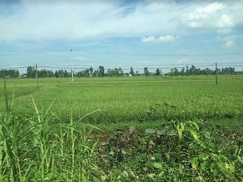 Phát triển Khu công nghiệp sạch Kim Động: UBND tỉnh Hưng Yên có “cản bước” nhà đầu tư?