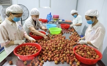 Hoa quả Việt được người Nhật đón nhận nồng nhiệt tại lễ hội ở Tokyo