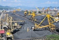 TKV - tất cả các khối sản xuất kinh doanh đều có lợi nhuận