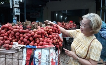 Vải thiều Lục Ngạn không hạt, cung không đủ cầu