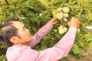 Xây dựng thương hiệu  \