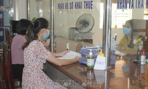 Kiểm soát chặt để tránh gian lận hoàn thuế giá trị gia tăng