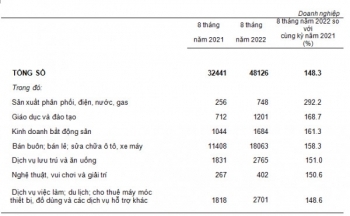 Hơn 48.000 doanh nghiệp hoạt động lại trong 8 tháng đầu năm