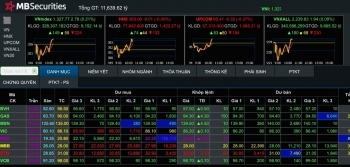 Tìm cơ hội trên thị trường chứng khoán những tháng cuối năm