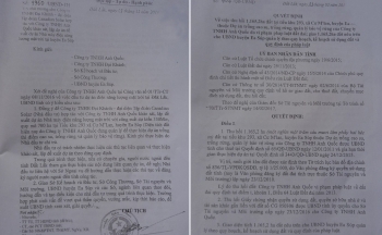 Đắk Lắk: Cần xem xét, giải quyết các kiến nghị của Công ty TNHH Anh Quốc