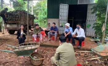 Bất ngờ được cấp mã số vùng trồng sầu riêng tại Đắk Lắk: Cơ quan chức năng vào cuộc