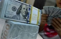 Sau thập kỷ chờ đợi, khối tiền tỷ USD dồn dập đổ vào ngân hàng Việt
