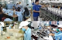 Hỗ trợ ít nhất 6.000 DNNVV tham gia cụm liên kết ngành