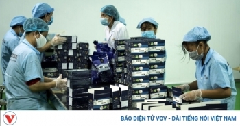 Sản phẩm khác biệt tạo con đường mới vào thị trường EU