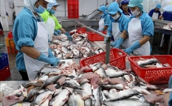 Thị phần thủy sản Việt Nam tại thị trường Mỹ Latinh gia tăng nhờ CPTPP