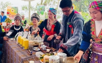 Yên Bái: Bảo hộ chỉ dẫn địa lý chè Shan tuyết Suối Giàng