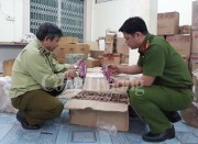 Tạm giữ lô hàng không hóa đơn chứng từ ước giá trị hàng tỷ đồng