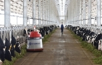 Vinamilk thông tin về nguồn nguyên liệu sản xuất các sản phẩm sữa