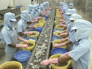 Tôm: Át chủ bài của xuất khẩu thủy sản