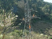 Thực hiện năm năng suất, hiệu quả