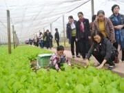 Cái gốc của cơ chế