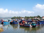 Bình Định: Vận động tài trợ vốn ODA xây dựng cảng cá ngừ
