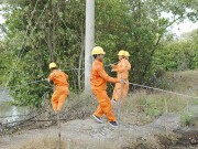 Đăk Lăk: Hoàn thành chương trình cấp điện cho các thôn, buôn chưa có điện