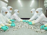 Xuất khẩu tôm sang Hàn Quốc: Tận dụng lực đẩy từ FTA