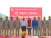 Đoàn thanh niên Thủy điện Sơn La hưởng ứng Tết trồng cây